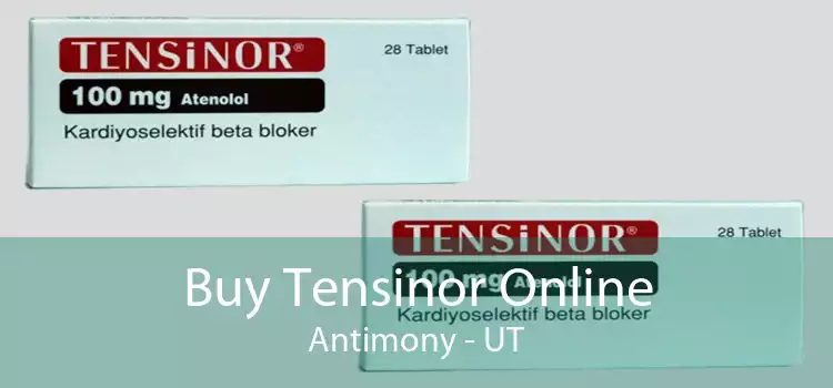 Buy Tensinor Online Antimony - UT