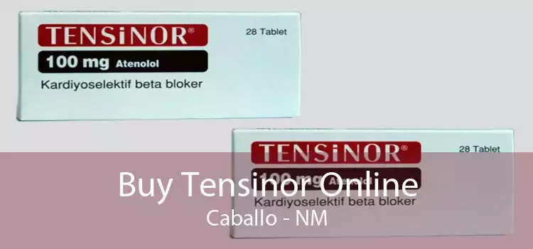 Buy Tensinor Online Caballo - NM
