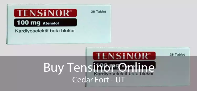 Buy Tensinor Online Cedar Fort - UT